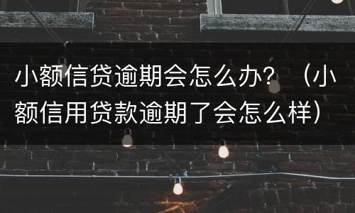 小额信贷逾期会怎么办？（小额信用贷款逾期了会怎么样）