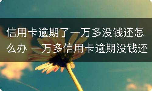 信用卡逾期了一万多没钱还怎么办 一万多信用卡逾期没钱还会坐牢吗