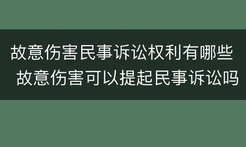 故意伤害民事诉讼权利有哪些 故意伤害可以提起民事诉讼吗