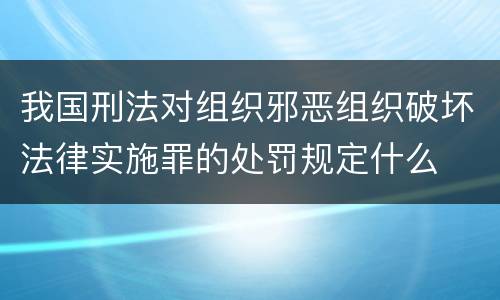 我国刑法对组织邪恶组织破坏法律实施罪的处罚规定什么