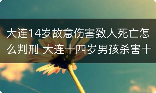 大连14岁故意伤害致人死亡怎么判刑 大连十四岁男孩杀害十岁女孩事件