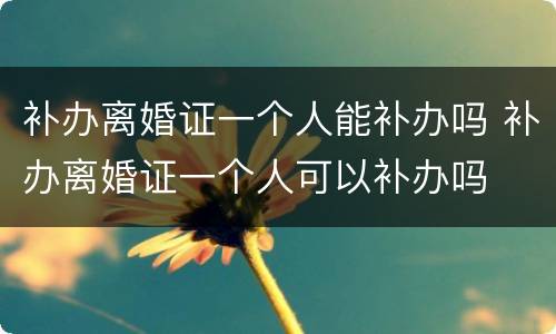 补办离婚证一个人能补办吗 补办离婚证一个人可以补办吗