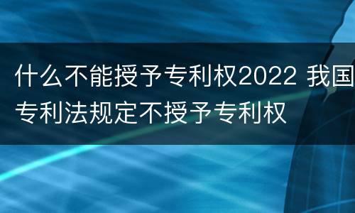 什么不能授予专利权2022 我国专利法规定不授予专利权