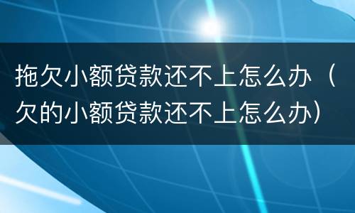 拖欠小额贷款还不上怎么办（欠的小额贷款还不上怎么办）