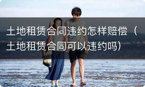 土地租赁合同违约怎样赔偿（土地租赁合同可以违约吗）
