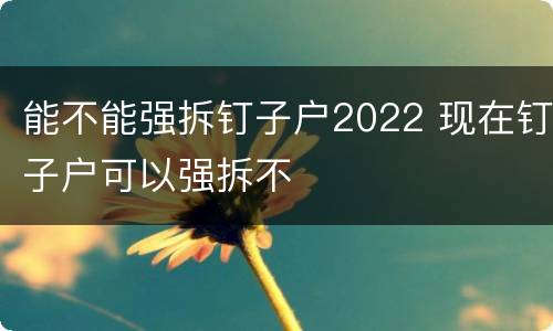 能不能强拆钉子户2022 现在钉子户可以强拆不