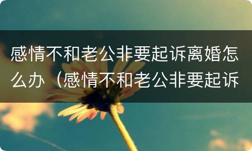 感情不和老公非要起诉离婚怎么办（感情不和老公非要起诉离婚怎么办呢）