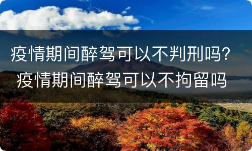 疫情期间醉驾可以不判刑吗？ 疫情期间醉驾可以不拘留吗