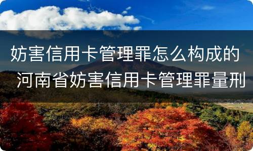 妨害信用卡管理罪怎么构成的 河南省妨害信用卡管理罪量刑标准