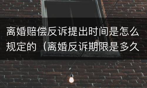 离婚赔偿反诉提出时间是怎么规定的（离婚反诉期限是多久）
