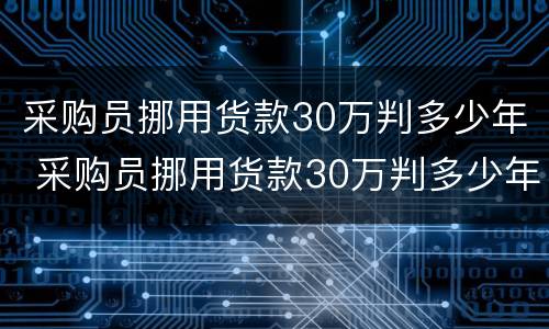 采购员挪用货款30万判多少年 采购员挪用货款30万判多少年呢