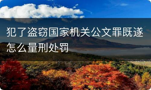 犯了盗窃国家机关公文罪既遂怎么量刑处罚