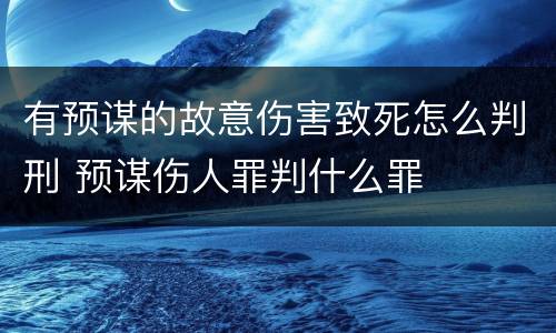 有预谋的故意伤害致死怎么判刑 预谋伤人罪判什么罪