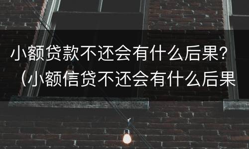 小额贷款不还会有什么后果？（小额信贷不还会有什么后果）