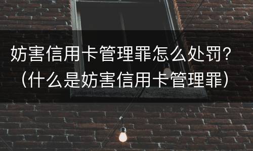 妨害信用卡管理罪怎么处罚？（什么是妨害信用卡管理罪）