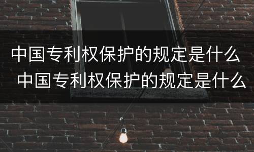 中国专利权保护的规定是什么 中国专利权保护的规定是什么意思