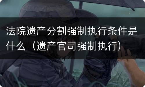 法院遗产分割强制执行条件是什么（遗产官司强制执行）