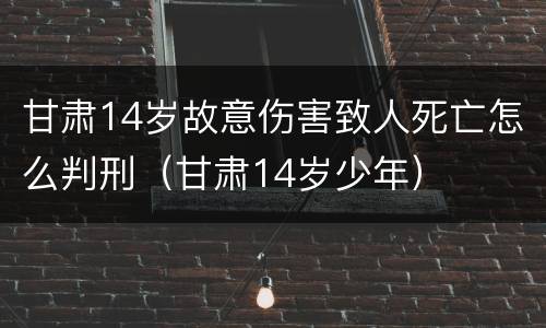 甘肃14岁故意伤害致人死亡怎么判刑（甘肃14岁少年）