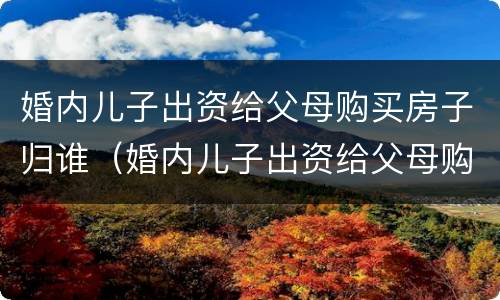 婚内儿子出资给父母购买房子归谁（婚内儿子出资给父母购买房子归谁管）