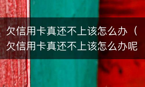 欠信用卡真还不上该怎么办（欠信用卡真还不上该怎么办呢）
