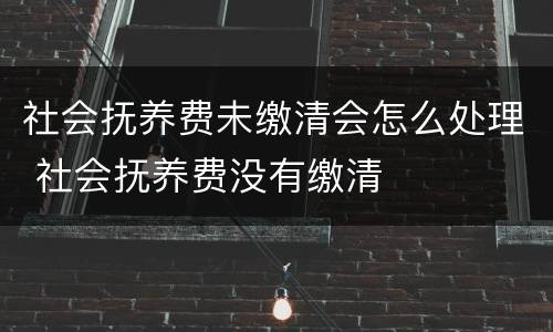 社会抚养费未缴清会怎么处理 社会抚养费没有缴清