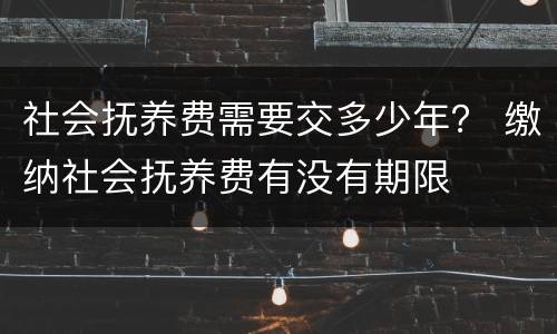社会抚养费需要交多少年？ 缴纳社会抚养费有没有期限