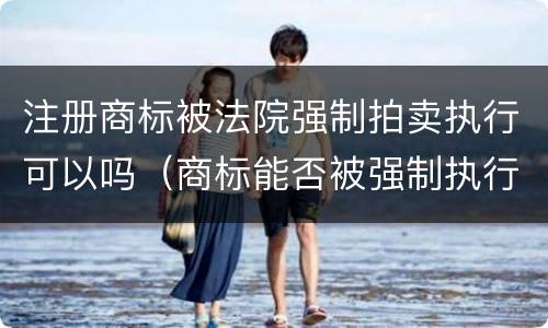 注册商标被法院强制拍卖执行可以吗（商标能否被强制执行）