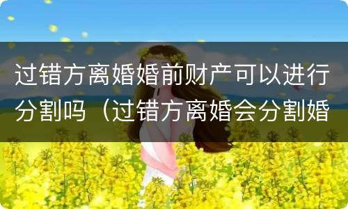 过错方离婚婚前财产可以进行分割吗（过错方离婚会分割婚前财产吗）