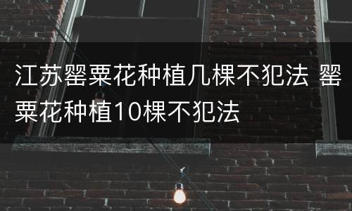 江苏罂粟花种植几棵不犯法 罂粟花种植10棵不犯法