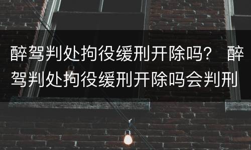 醉驾判处拘役缓刑开除吗？ 醉驾判处拘役缓刑开除吗会判刑吗