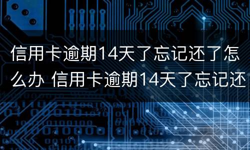 信用卡逾期14天了忘记还了怎么办 信用卡逾期14天了忘记还了怎么办呢