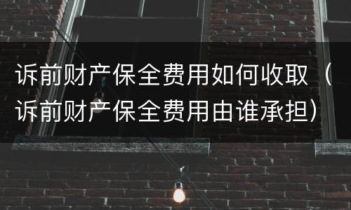 诉前财产保全费用如何收取（诉前财产保全费用由谁承担）