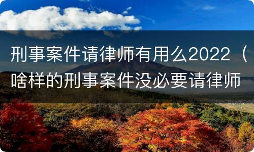 刑事案件请律师有用么2022（啥样的刑事案件没必要请律师）