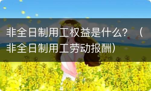 非全日制用工权益是什么？（非全日制用工劳动报酬）