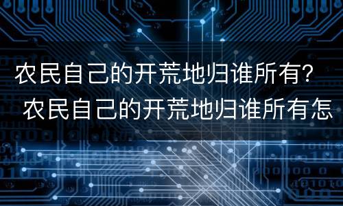 农民自己的开荒地归谁所有？ 农民自己的开荒地归谁所有怎么写