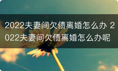 2022夫妻间欠债离婚怎么办 2022夫妻间欠债离婚怎么办呢