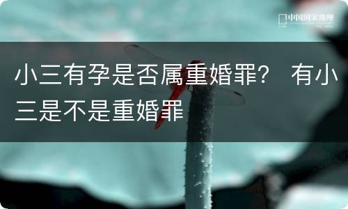 小三有孕是否属重婚罪？ 有小三是不是重婚罪