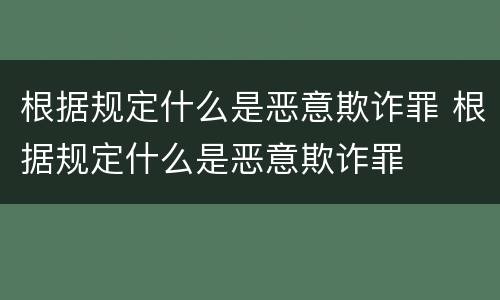 根据规定什么是恶意欺诈罪 根据规定什么是恶意欺诈罪