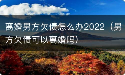 离婚男方欠债怎么办2022（男方欠债可以离婚吗）