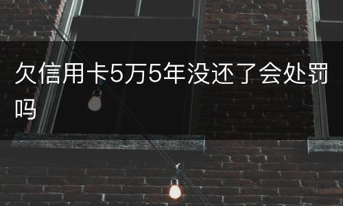 欠信用卡5万5年没还了会处罚吗