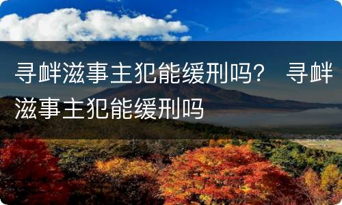 寻衅滋事主犯能缓刑吗？ 寻衅滋事主犯能缓刑吗