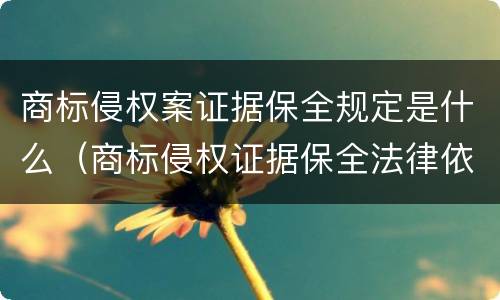 商标侵权案证据保全规定是什么（商标侵权证据保全法律依据）