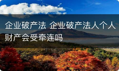 企业破产法 企业破产法人个人财产会受牵连吗