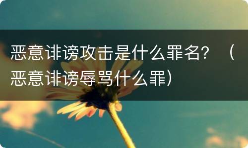 恶意诽谤攻击是什么罪名？（恶意诽谤辱骂什么罪）