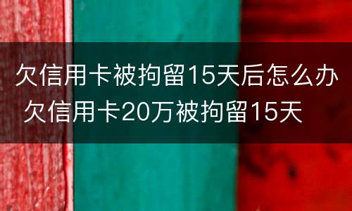 欠信用卡被拘留15天后怎么办 欠信用卡20万被拘留15天