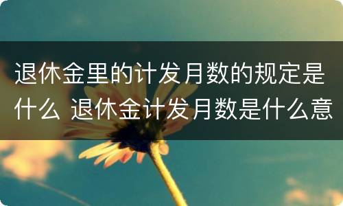 退休金里的计发月数的规定是什么 退休金计发月数是什么意思