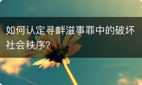 如何认定寻衅滋事罪中的破坏社会秩序？