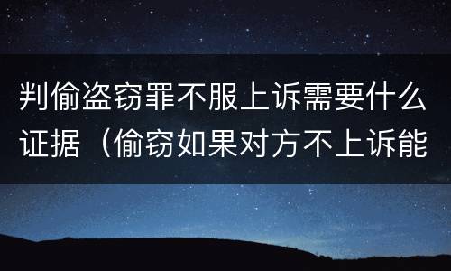判偷盗窃罪不服上诉需要什么证据（偷窃如果对方不上诉能保嘛）