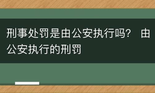 刑事处罚是由公安执行吗？ 由公安执行的刑罚