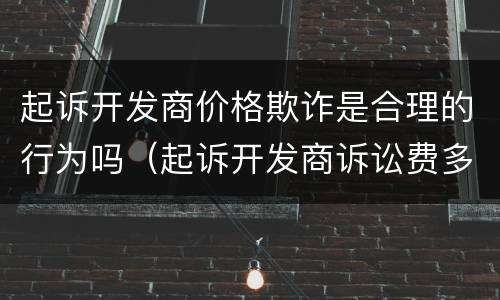起诉开发商价格欺诈是合理的行为吗（起诉开发商诉讼费多少钱）